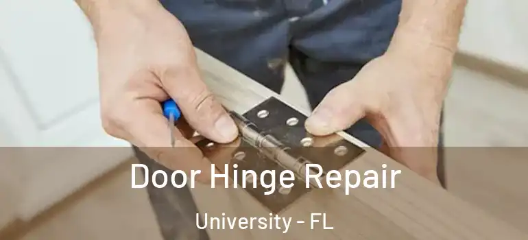  Door Hinge Repair University - FL