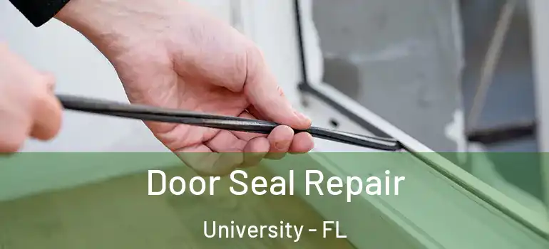  Door Seal Repair University - FL