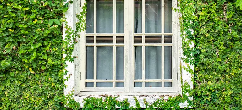 Garden Window Repair Near Me in University, FL