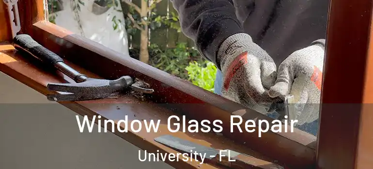  Window Glass Repair University - FL