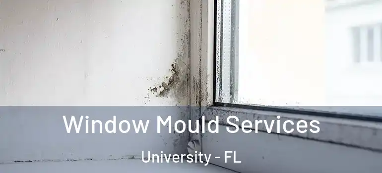  Window Mould Services University - FL